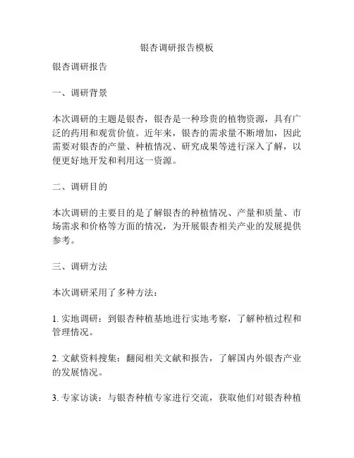 银杏调研报告模板