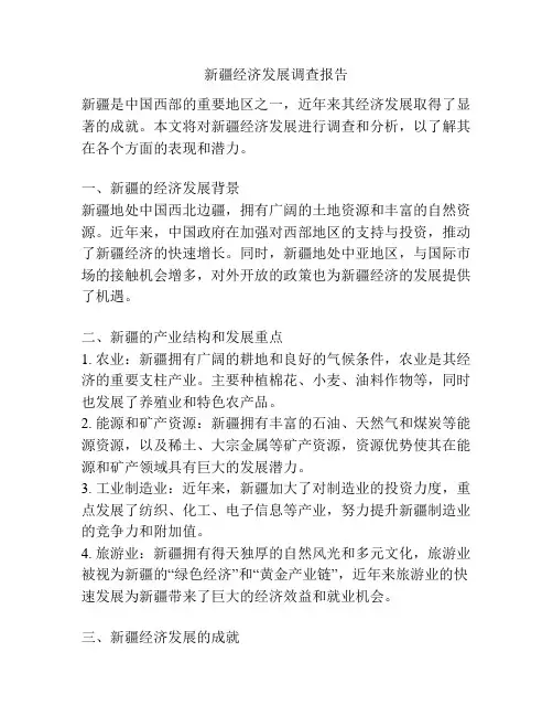 新疆经济发展调查报告
