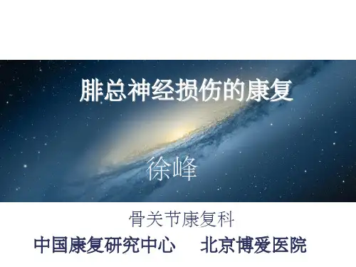 腓总神经损伤的康复ppt课件