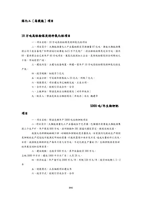 煤化工(高载能)项目