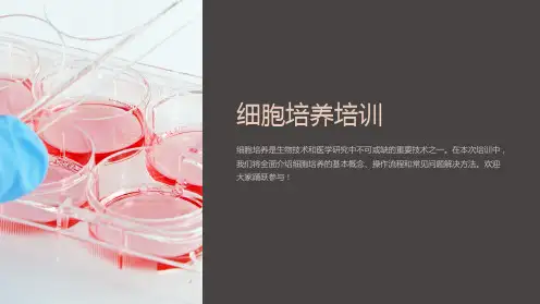《细胞培养培训》课件