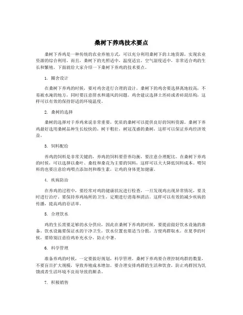 桑树下养鸡技术要点