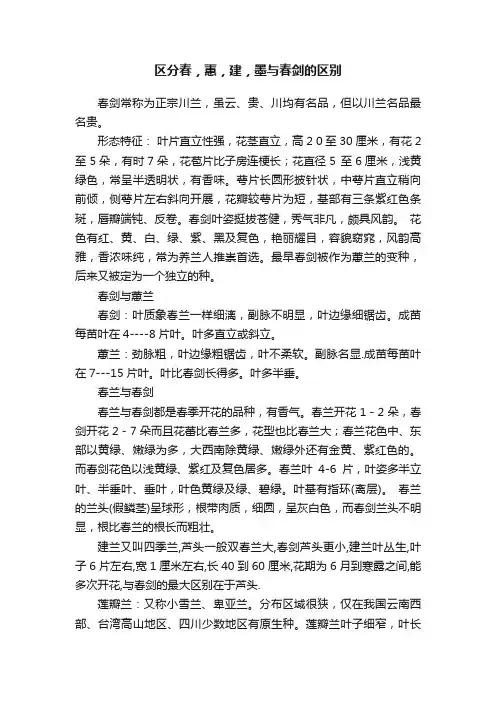 区分春，蕙，建，墨与春剑的区别