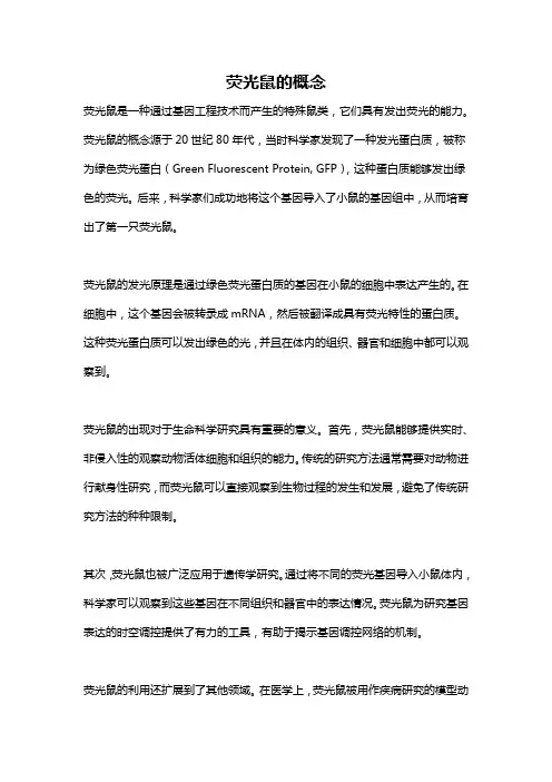 荧光鼠的概念