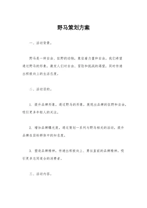野马策划方案