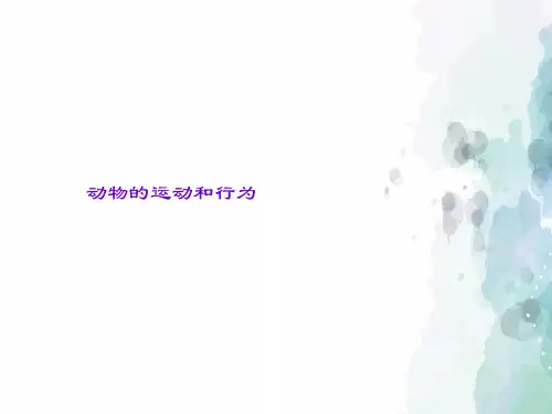 北京课改版生物-八年级上册-9 动物的运动和行为 精品课件