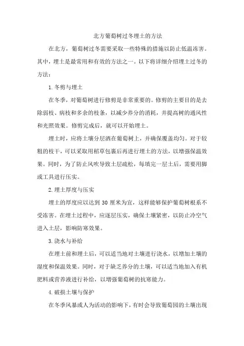 北方葡萄树过冬埋土的方法