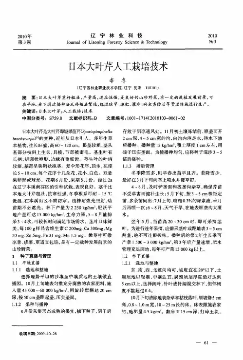 日本大叶芹人工栽培技术
