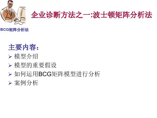 一 bcg矩阵分析