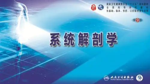 系统解剖学第二十章 脑和脊髓的被膜、血管及脑脊液循环课件