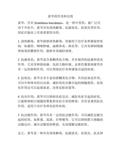 黄芩的作用和功效
