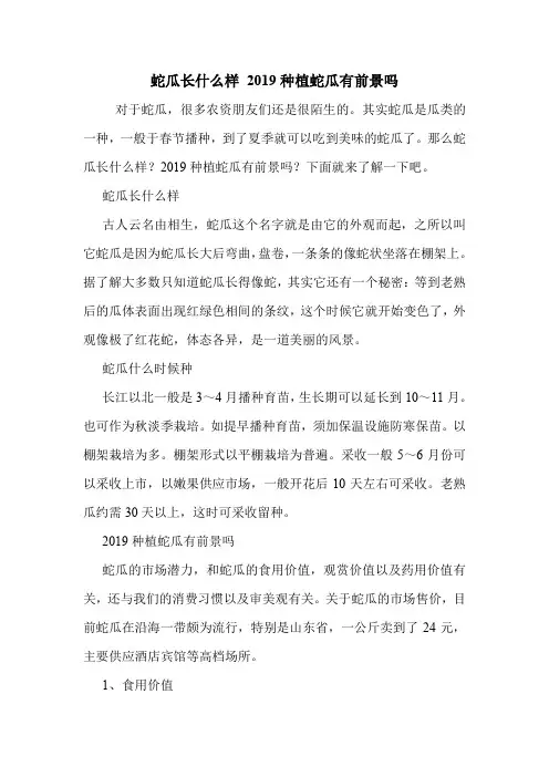 蛇瓜长什么样 2019种植蛇瓜有前景吗.doc