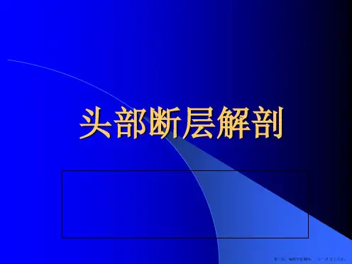 颅脑断层面CT解剖分析