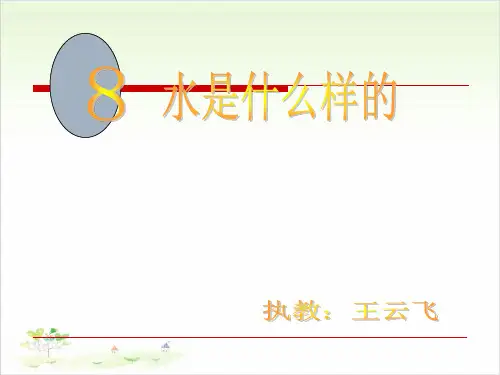 三年级上册科学-水是什么样的-鄂教版(共17张)-PPT课堂课件