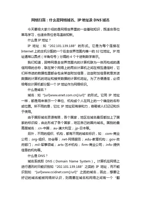 网络扫盲：什么是网络域名、IP地址及DNS域名