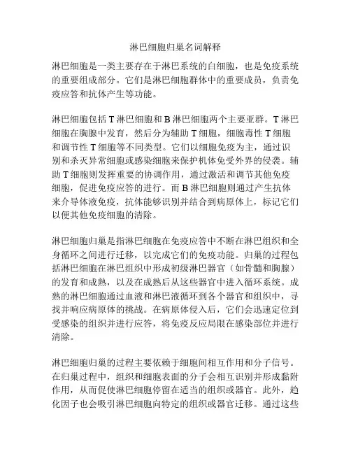 淋巴细胞归巢名词解释