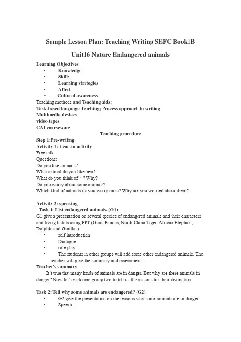 Sample Lesson Plan 教学课程设计