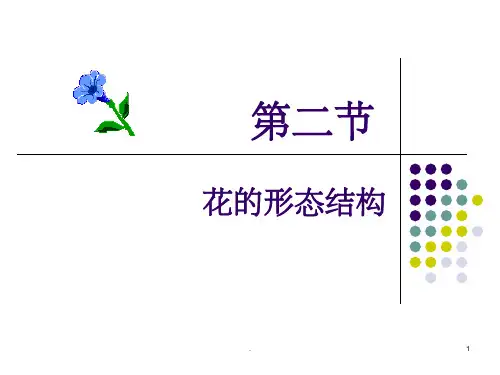 花的形态结构植物学PPT课件