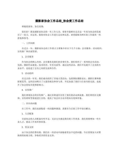 摄影家协会工作总结_协会度工作总结