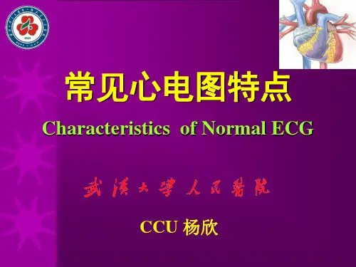 武大护理健康评估课件心电图健康评估