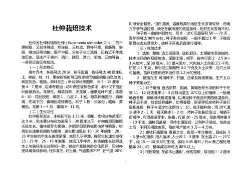 杜仲、厚朴、黄柏栽培技术
