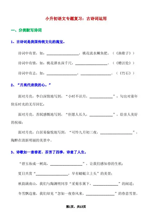 小升初语文专题复习古诗词运用