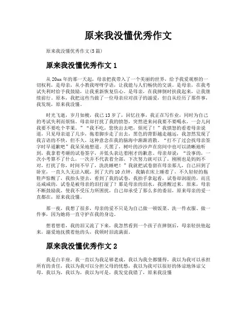 原来我没懂优秀作文