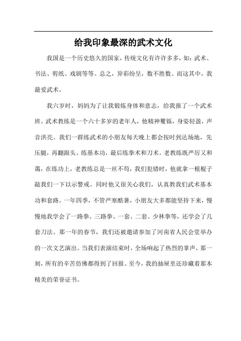 给我印象最深的武术文化作文