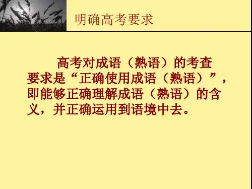 正确使用成语PPT课件
