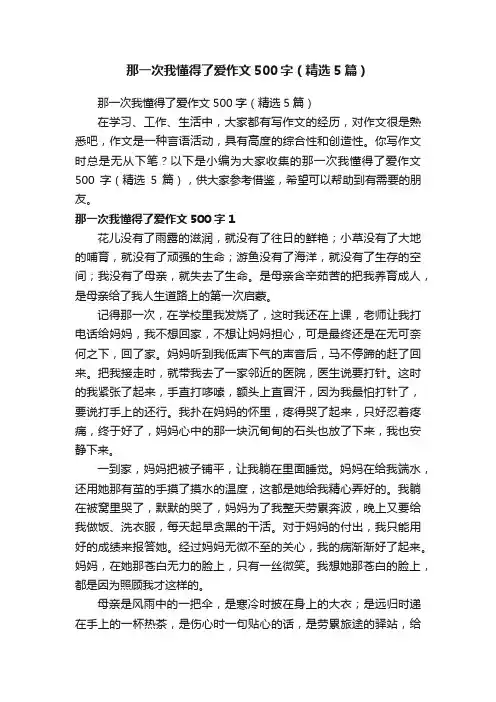 那一次我懂得了爱作文500字（精选5篇）