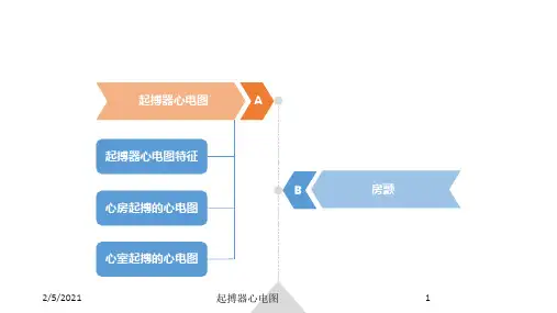 起搏器心电图培训课件