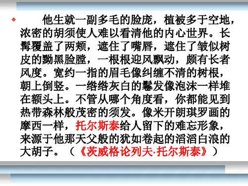 列夫·托尔斯泰(简介)