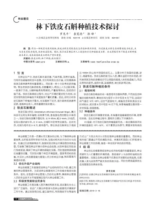 林下铁皮石斛种植技术探讨