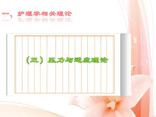 压力与适应理论PPT课件