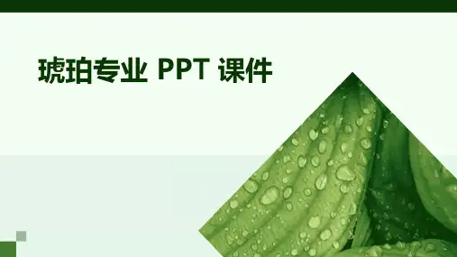 琥珀专业 ppt课件