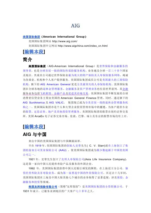 AIG简介