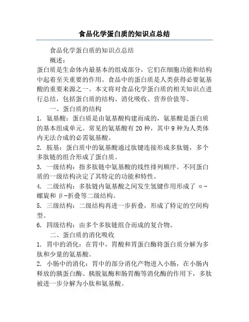食品化学蛋白质的知识点总结
