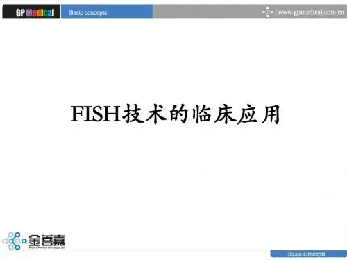 FISH基础