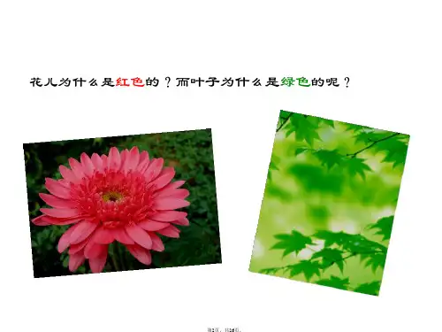 人教版光的色散课件共26张