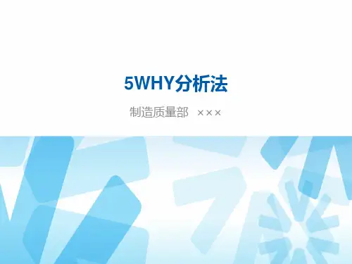5WHY分析法