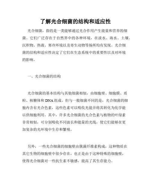 了解光合细菌的结构和适应性