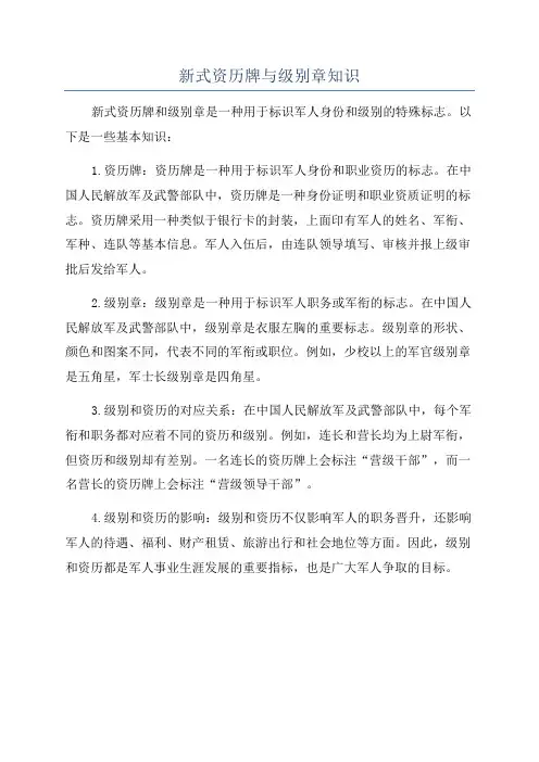 新式资历牌与级别章知识