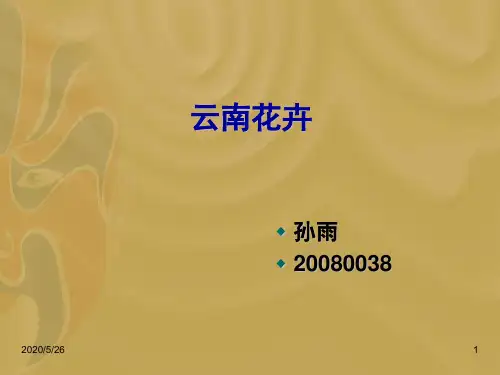 云南花卉