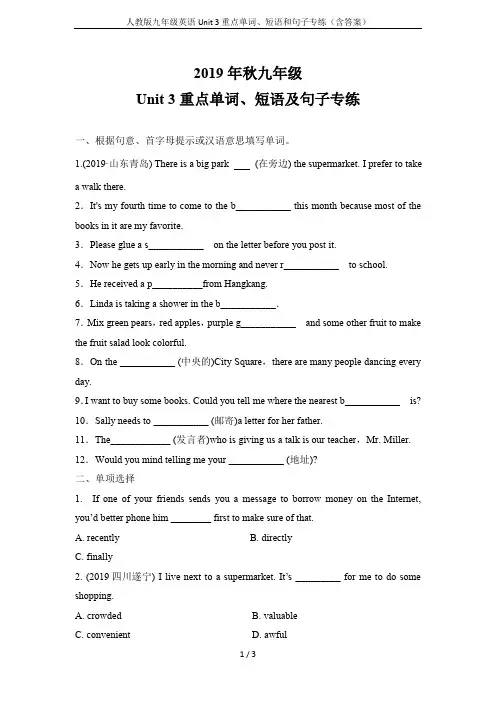 人教版九年级英语Unit 3重点单词、短语和句子专练(含答案)