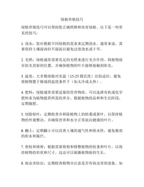 绿植养殖技巧