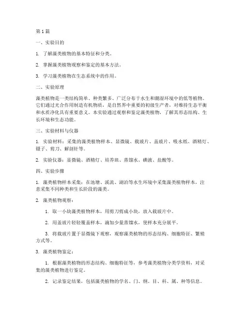 藻类植物实验报告(3篇)