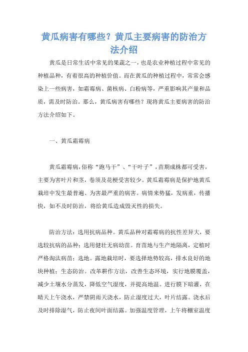 黄瓜病害有哪些？黄瓜主要病害的防治方法介绍