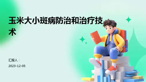玉米大小斑病防治和治疗技术