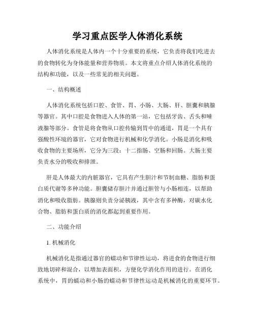 学习重点医学人体消化系统