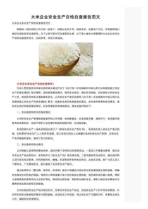 大米企业安全生产自检自查报告范文